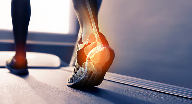 Orthopaedics and Sports Injury